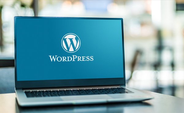 WORDPRESS WEBSITE DEVELOPMENT SERVICE